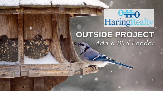 Add Bird Feeder - Homeowners - Haring Realty