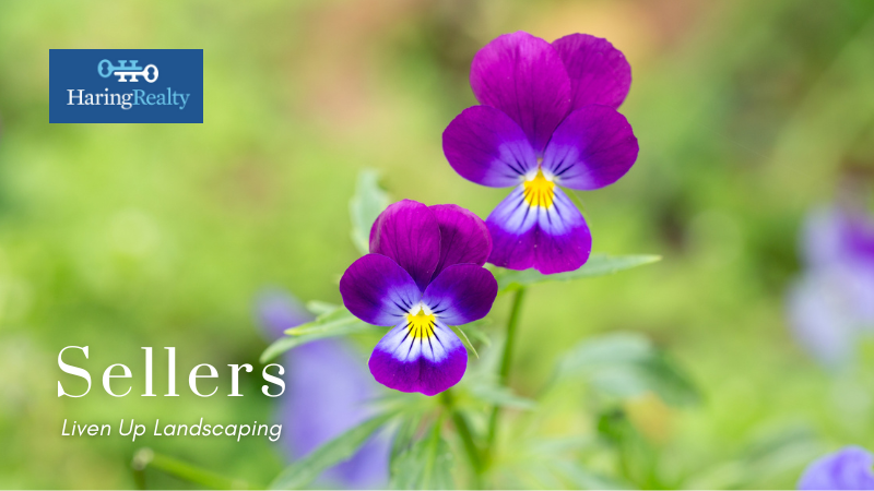 Add Flowers to Landscaping - Homeowners - Haring Realty