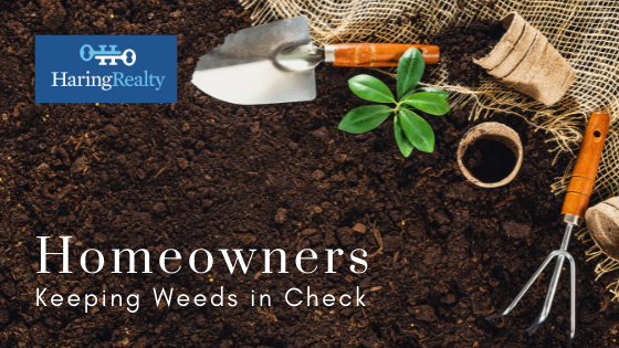 Controlling Landscaping Weeds - Homeowners - Haring Realty