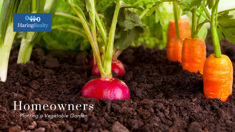 Start a Vegetable Garden - Homeowners - Haring Realty