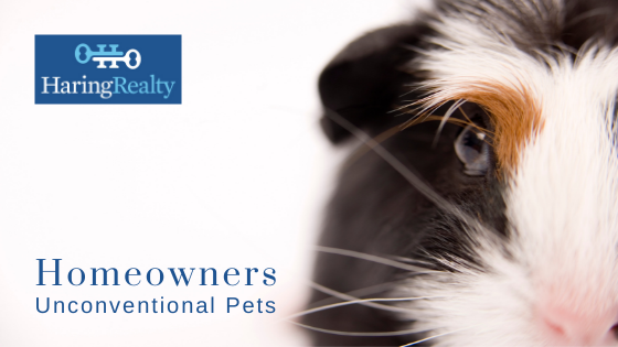 Unconventional Pets - Homeowners - Haring Realty