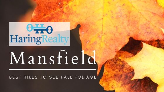 Fall Hikes Around Mansfield, OH - Haring Realty