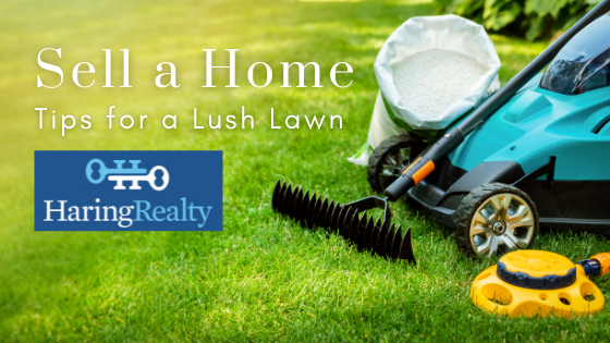 Revive Your Lawn - Home Sellers - Haring Realty