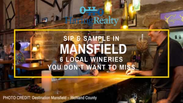 6 Mansfield Wineries