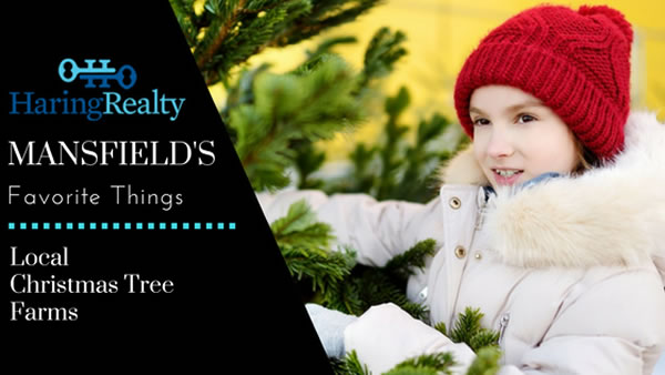 Mansfield Christmas Tree Farms