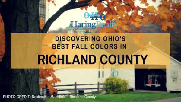 Mansfield Area Ohio Fall Colors