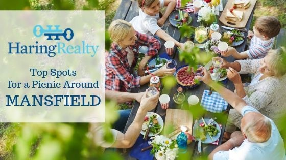 Mansfield Ohio Picnic Areas