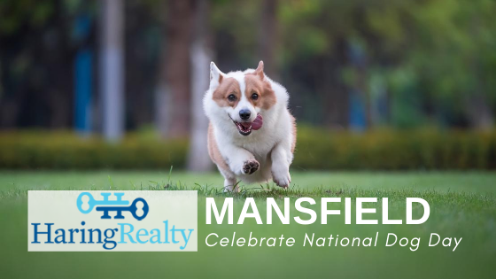 Mansfield Parks - National Dog Day - Haring Realty