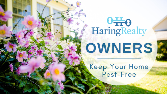 Pest Control Tips for Homeowners - Haring Realty