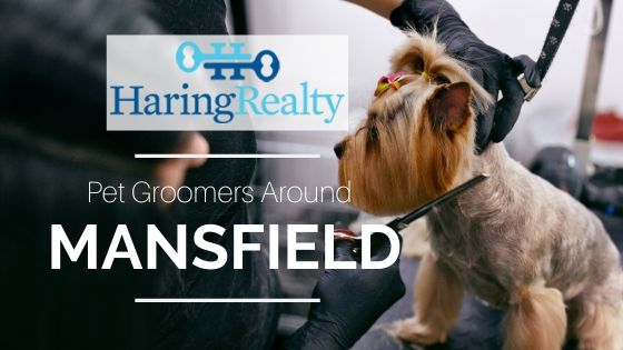 Pet Groomers - Mansfield, OH - Haring Realty